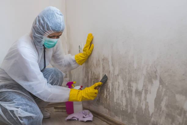 Mold Removal and Inspection in Middletown, IN