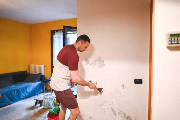 Best Residential Mold Removal  in Middletown, IN